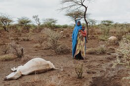ZOA klimaatrapport: Klimaatmigratie wakkert nieuwe conflicten aan “Maak mensen klimaatweerbaar om spiraal te doorbreken”