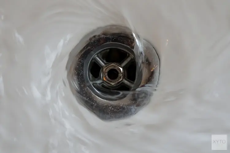 Hoe kies je het juiste schoonmaakbedrijf voor een grondige dieptereiniging?