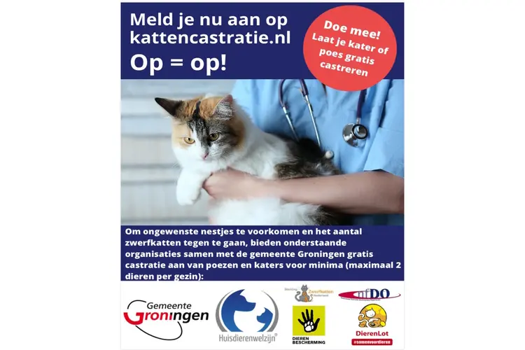 GRATIS WAARDEBON voor het laten castreren of steriliseren van de kater of poes, inclusief chippen