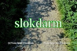 Slokdarm