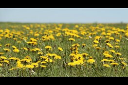 Geplande inloopbijeenkomsten toekomst landelijk gebied gaan door