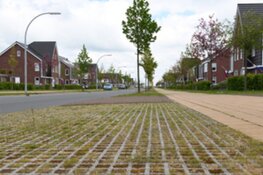 Stevige opgave voor huisvesten vergunninghouders