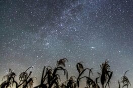 Steeds meer sterren in het Lauwersmeergebied