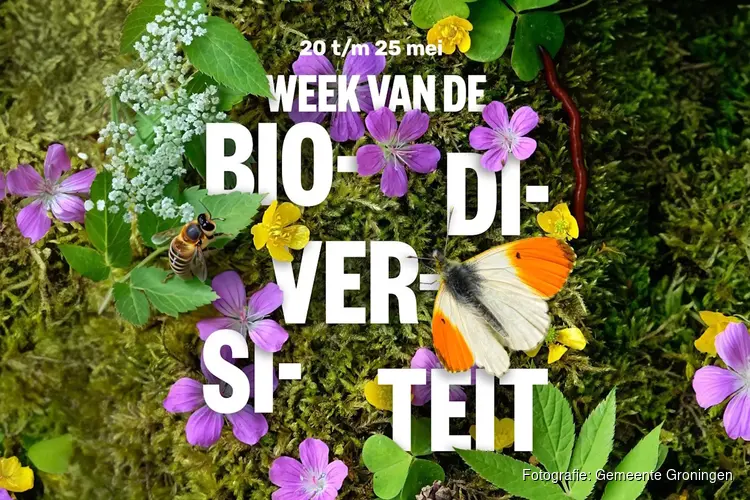Groningse natuur volop in beeld tijdens de Week van de Biodiversiteit 2025