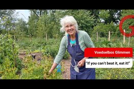 In dit eetbare bos leer je wat je kunt eten uit de natuur