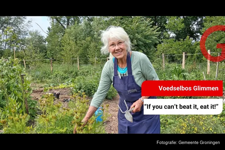 In dit eetbare bos leer je wat je kunt eten uit de natuur