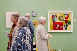 Museum Belvédère presenteert: Art Noord VII