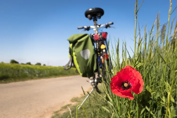 Gemeente investeert in verbetering fietsroutes vanuit zuiden naar centrum