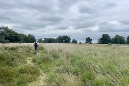Hortus Vriendenlezing – Stikstof en Natuur. Lezing door Roel Strijkstra