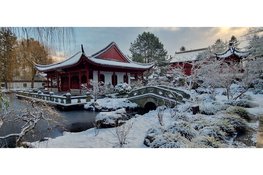 De Hortus bloeit! 48.000 bezoekers in 2025!