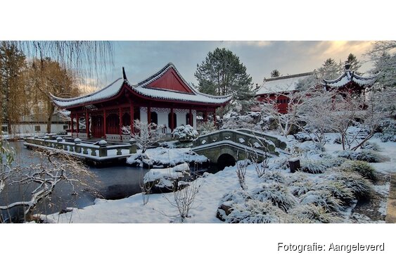 De Hortus bloeit! 48.000 bezoekers in 2025!