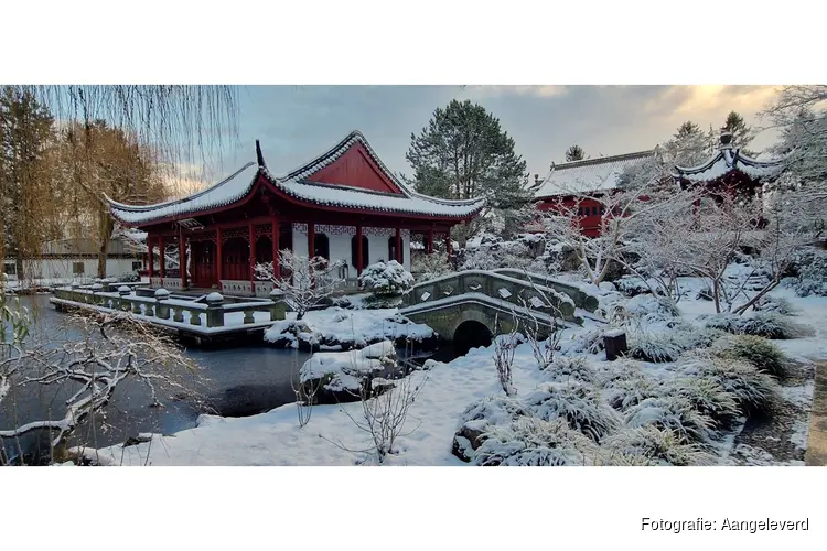 De Hortus bloeit! 48.000 bezoekers in 2025!