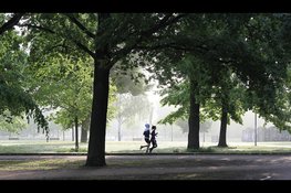 Groningers minst actief van Nederland: slechts 44% voldoet aan beweegrichtlijn