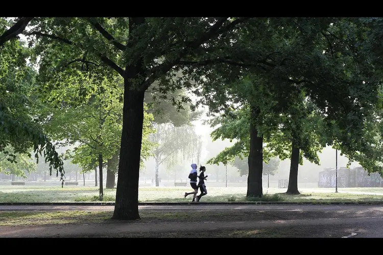Groningers minst actief van Nederland: slechts 44% voldoet aan beweegrichtlijn