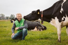 Campina Open Boerderijdagen 2026: boerderijen in Groningen open voor publiek
