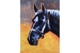 Expositie 'BoerEn Paard' in De Smederij