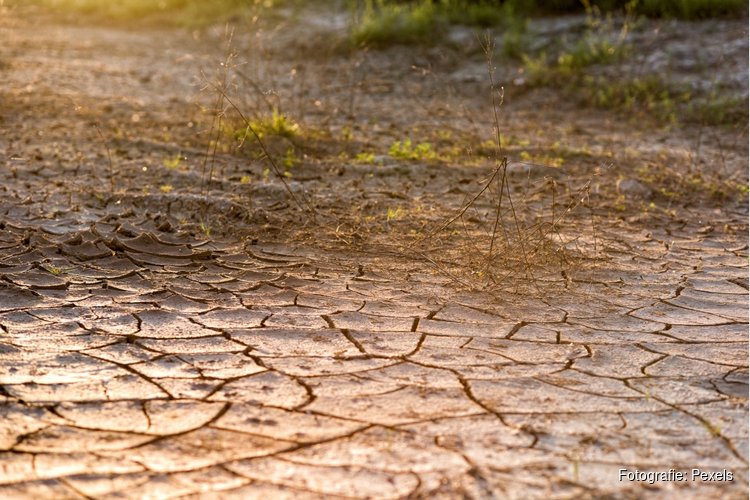 Waterschappen treffen extra maatregelen vanwege aanhoudende droogte